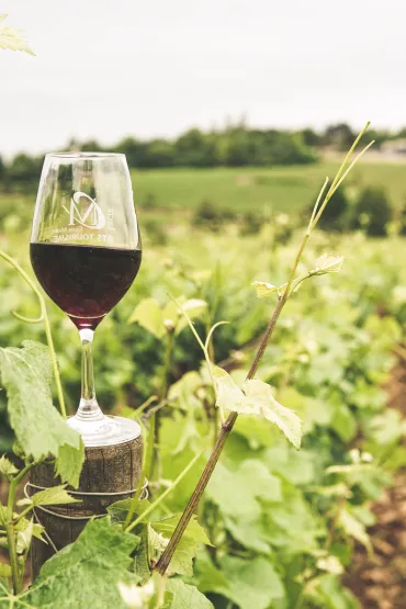 chauffeur vtc service visite de vignoble bordeaux